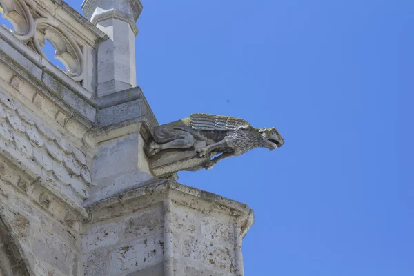 Waterspuwers van de kathedraal van palencia, de mooie onbekend, p — Stockfoto