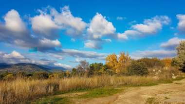 Kırsal alanda yol ya da patika