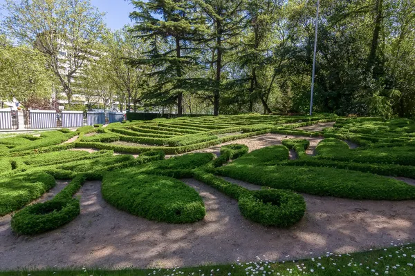 Jardins Com Arbustos Verdes Fazendo Formas Bonitas — Fotografia de Stock