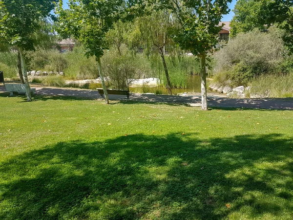 Path Park Full Trees — Stock Photo, Image