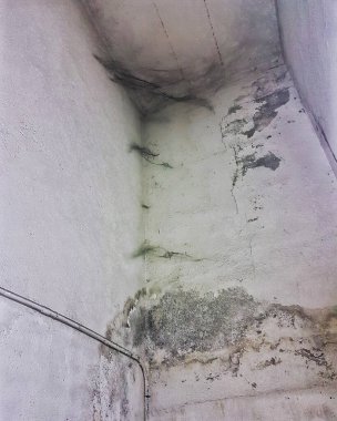 Duvar nem ve örümcek ağlarından zarar gördü