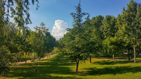 Дорога Тропа Через Сельскую Местность — стоковое фото