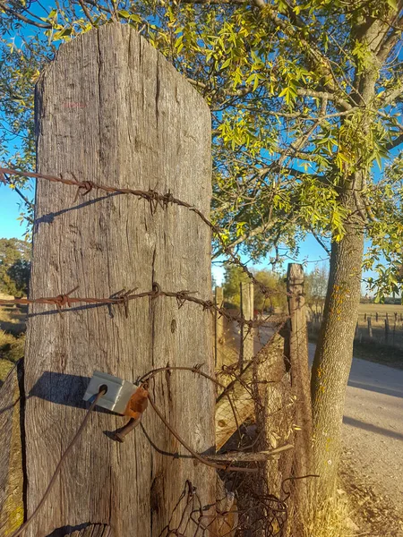 フィールド内の木製ポール付きの有刺鉄線フェンスの詳細 — ストック写真