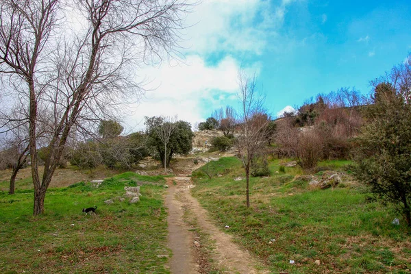 Estrada Caminho Através Campo — Fotografia de Stock