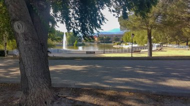 Ağaçlarla dolu bir parkta yol