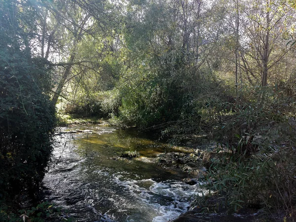 Река Гуадарама Между Растительностью Проходящей Через Галапагар Мадрид — стоковое фото