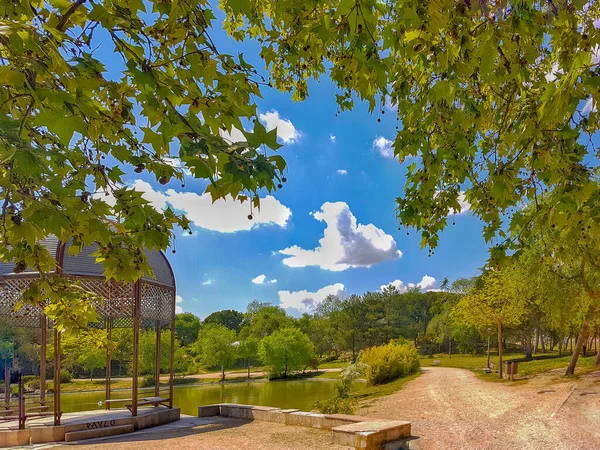 Road Path Countryside — Stock Photo, Image