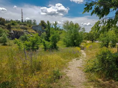 Kırsal alanda yol ya da patika