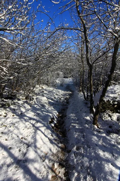 Сніговий Пейзаж Блакитним Небом Білими Хмарами — стокове фото