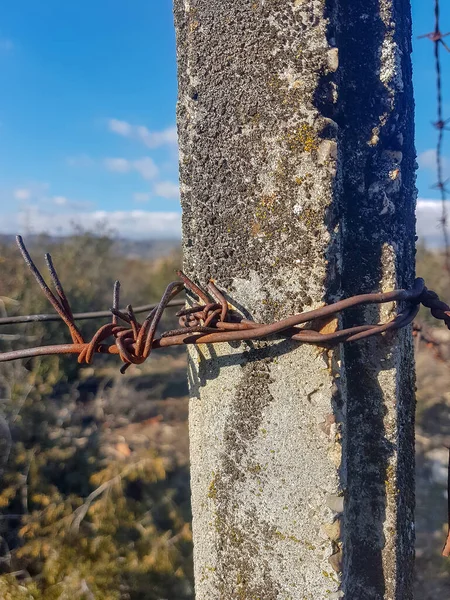 Detail Barbed Wire Fence Concrete Pole Field — 스톡 사진