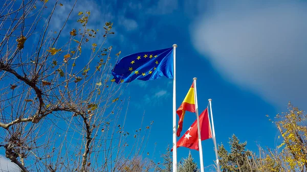 Bandiera Europea Spagnola Madrid Sul Loro Albero Foto Stock