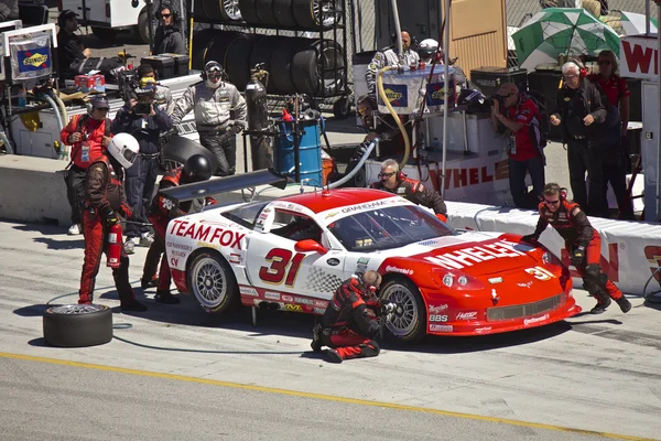 Corvette in pit-stop op de grand-am rolex races op mazda laguna seca raceway — Stockfoto