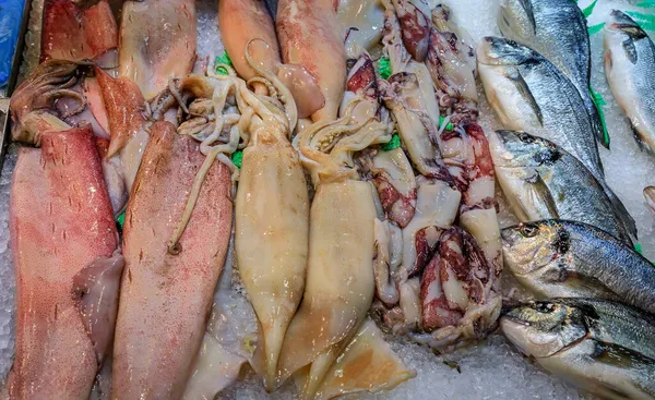 Verse calamari en bas bij een lokale visboer op de markt in Pamplona Spanje — Stockfoto