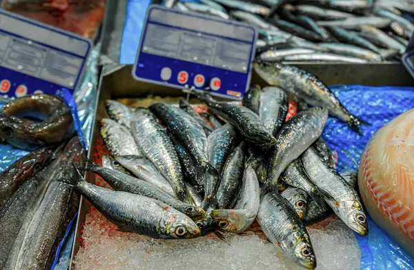 스페인 팜플로나에 있는 어종 시장에서 생멸치를 갑자기 잡았다 — 스톡 사진