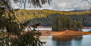 Jenkinson Lake and fir trees in Sierra Nevada Mountains, Northern California