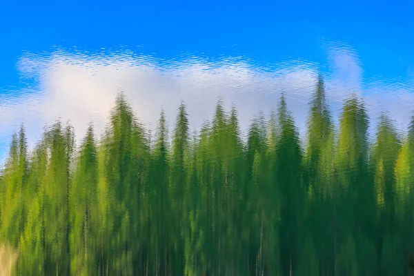 Abstract reflections of fir trees in a lake in Sierra Nevada, California —  Fotos de Stock