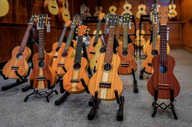 Portekiz 'in Porto kentindeki bir müzik enstrümanı dükkanında satışa sunulan geleneksel 4 telli akustik gitar