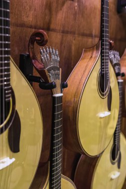 Portekiz 'in Porto kentindeki bir müzik enstrümanı dükkanında geleneksel 12 telli akustik Portekiz gitarı veya gitar satışı