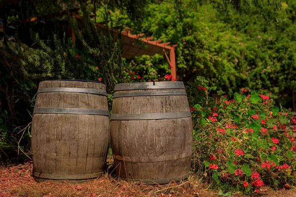 Wine barrels in the foreground in the spring a winery in Half Moon Bay, California, USA
