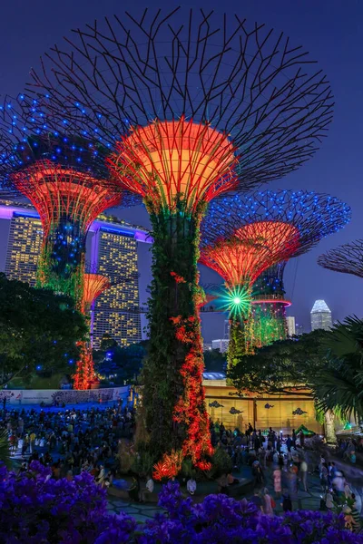 Garden Rhapsody show de luz no Supertree Grove Gardens perto da Baía, Cingapura — Fotografia de Stock