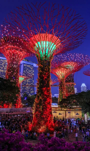 Garden Rhapsody light show at the Supertree Grove Gardens by the Bay, Singapore — Stock Photo, Image