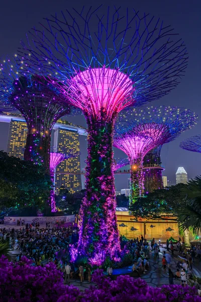 Garden Rhapsody light show w Supertree Grove Gardens przy zatoce, Singapur — Zdjęcie stockowe