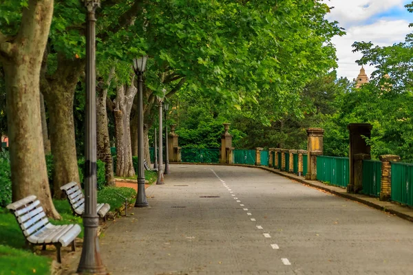 Spanya Nın Başkenti Navarra Daki Pamplona Katedrali Kadar Uzanan Medya — Stok fotoğraf