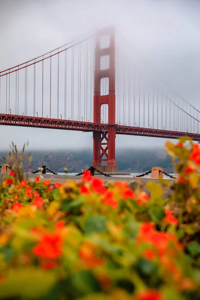 The Golden Gate bridge with bright flowers in the background on a cloudy summer day with low hanging fog rolling in San Francisco, California