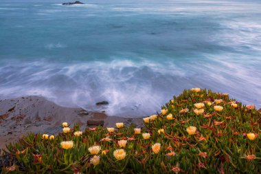 Pastel colors of sunset and silky water from long exposure of waves crashing on the shore by Pigeon Point Lighthouse, Northern California by Pescadero