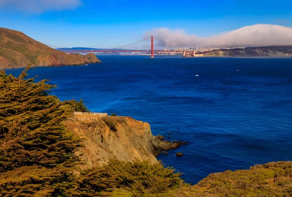 Panorama Del Ponte Golden Gate Cielo Blu Chiaro Con Erba — Foto Stock