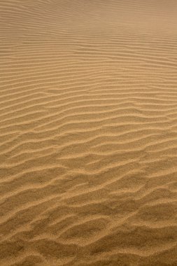 Büyük Kanarya 'daki çöl kumulları