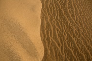 Büyük Kanarya 'daki çöl kumulları