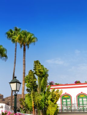 Gran canaria puerto de mogan beyaz evler