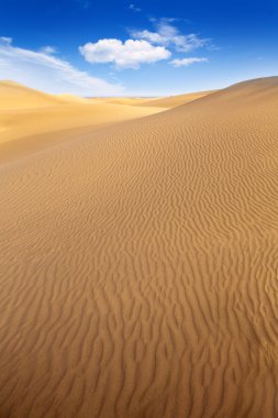 çöl kumulları maspalomas gran canaria