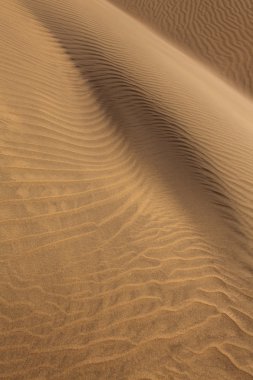 çöl kumulları maspalomas gran canaria