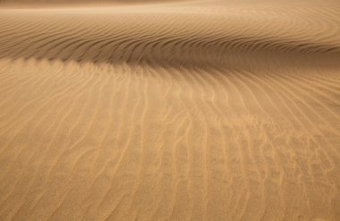 çöl kumulları maspalomas gran canaria