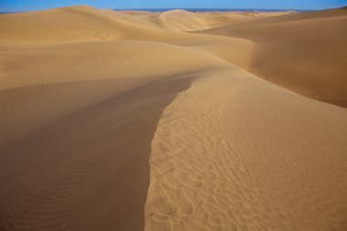 çöl kumulları maspalomas gran canaria