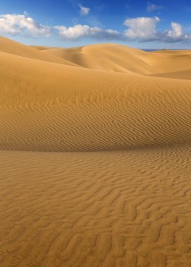 çöl kumulları maspalomas gran canaria