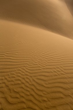 çöl kumulları maspalomas gran canaria