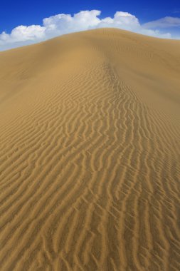 çöl kumulları maspalomas gran canaria