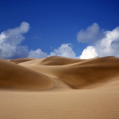 maspalomas gran canaria çöl dunes kum