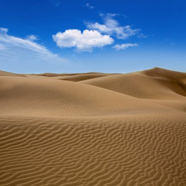 maspalomas gran canaria çöl dunes kum