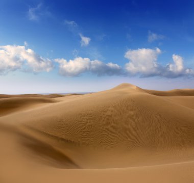 maspalomas gran canaria çöl dunes kum