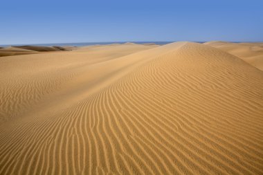 maspalomas gran canaria çöl dunes kum