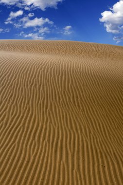 maspalomas gran canaria çöl dunes kum