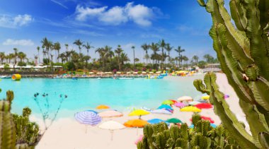 ANFIA del mar anfidelmar beach gran canaria