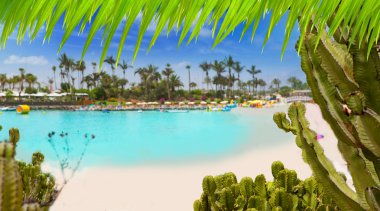 ANFIA del mar anfidelmar beach gran canaria