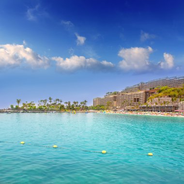 ANFIA del mar anfidelmar beach gran canaria