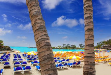 ANFIA del mar anfidelmar beach gran canaria