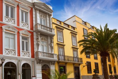 Las palmas de gran canaria veguetal evleri